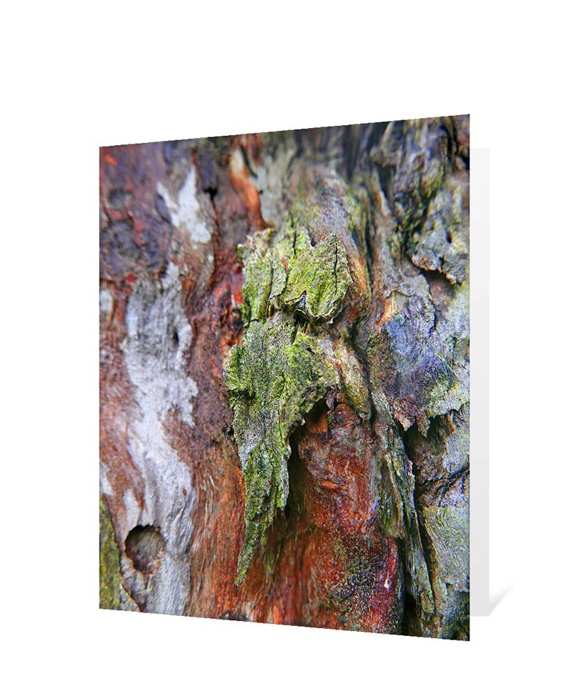 tree greeting card