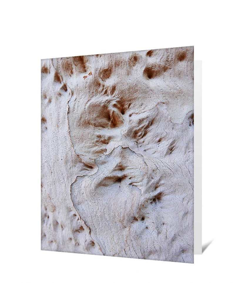 trees greeting card