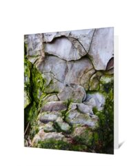 trees greeting cards for sale