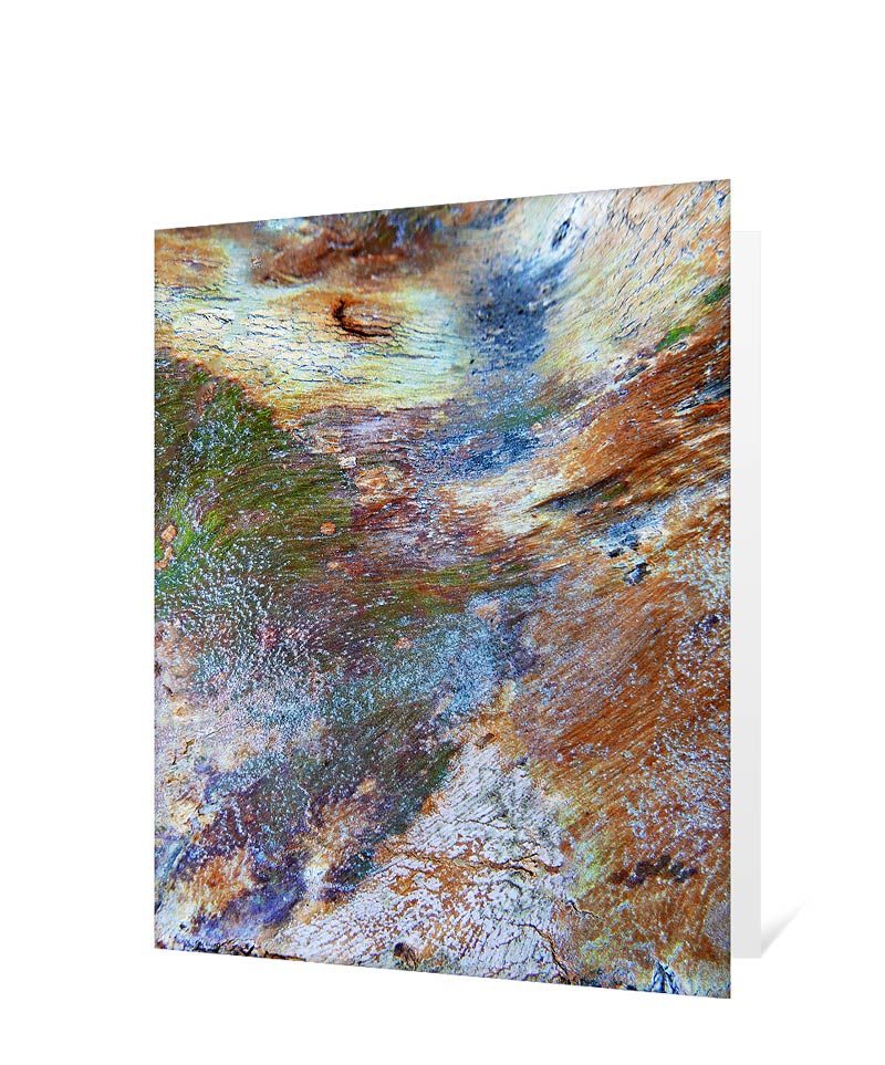 trees greeting cards