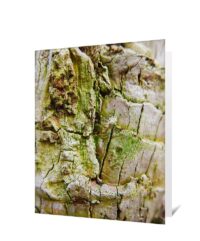 tree greeting card