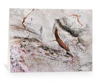 trees greeting cards