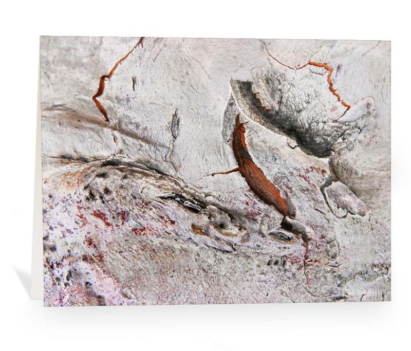 trees greeting cards