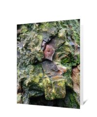 Tree Art Greeting Cards For Sale