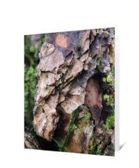trees greeting cards