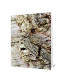 Trees Greeting Cards