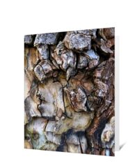 Trees Gretting Cards