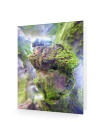 trees greeting cards