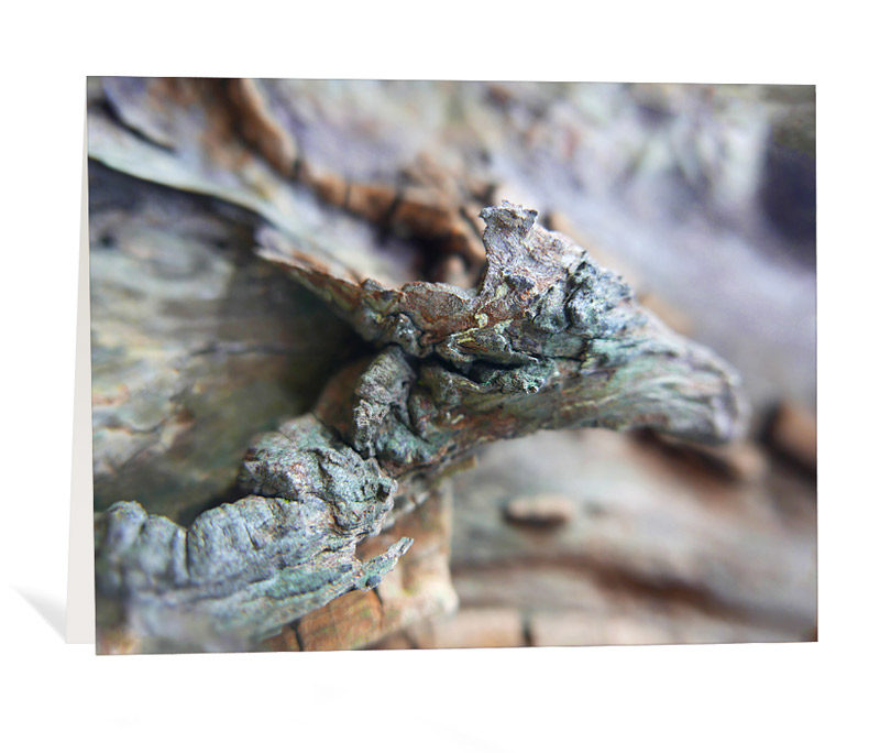 trees greeting cards