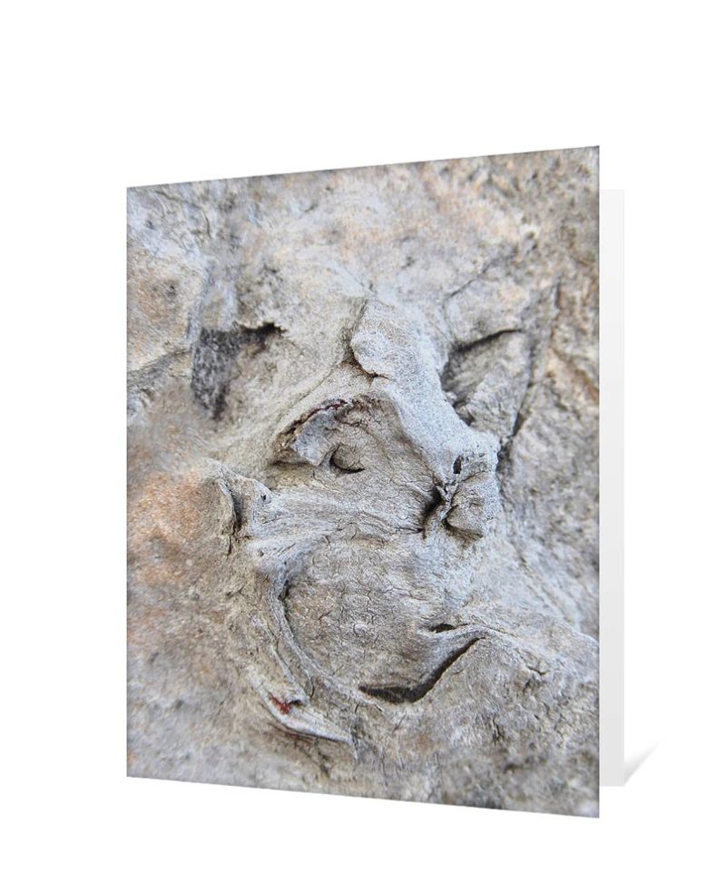 tree art greeting card