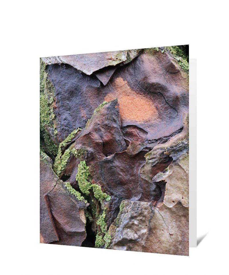 tree greeting card