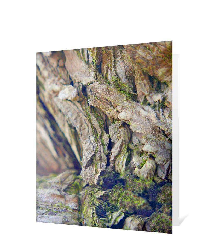 trees greeting cards
