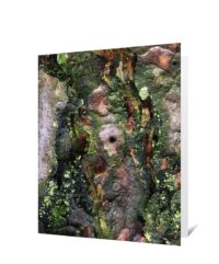 Trees Greeting Cards