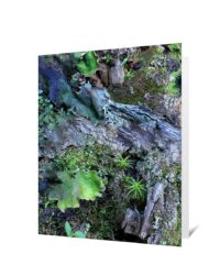Trees Greeting Cards