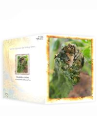 Trees Greeting Cards For Sale