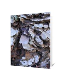 Tree Greeting Card
