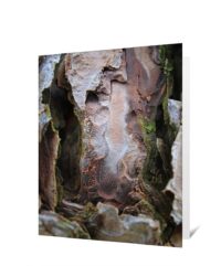 trees greeting cards