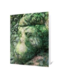 Trees Greeting Cards