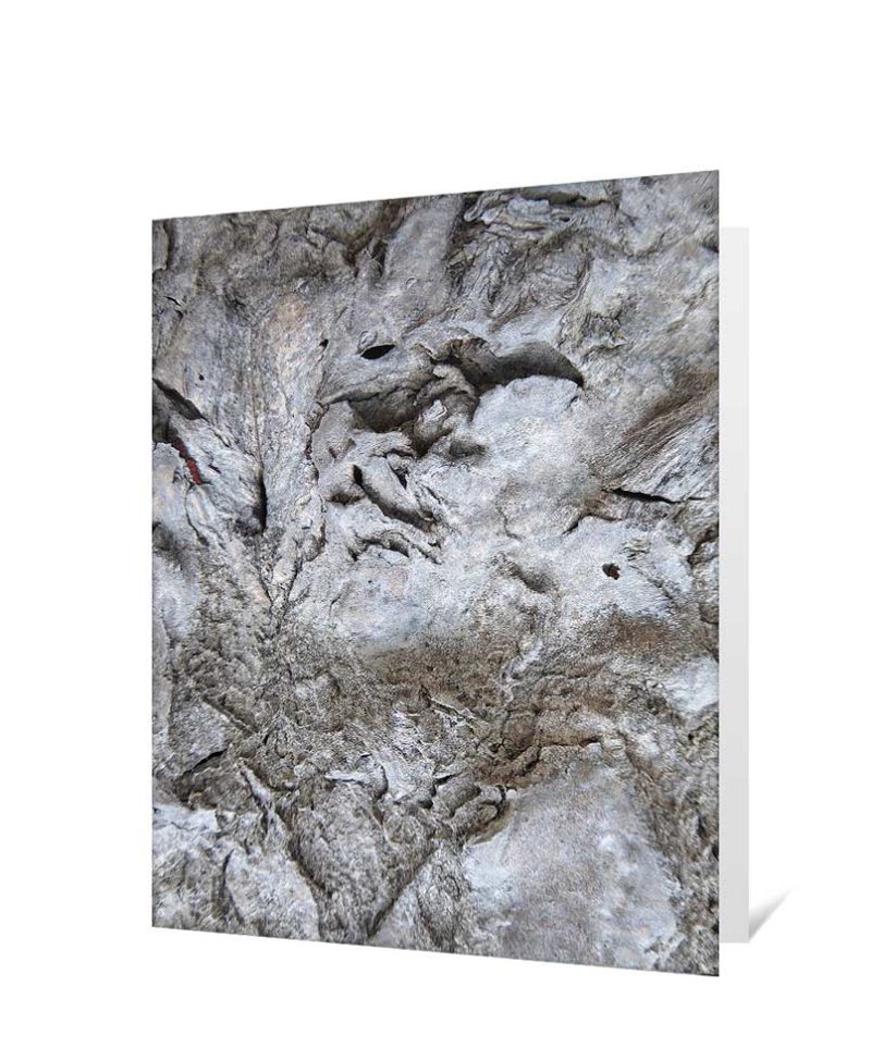 Tree greeting cards for sale
