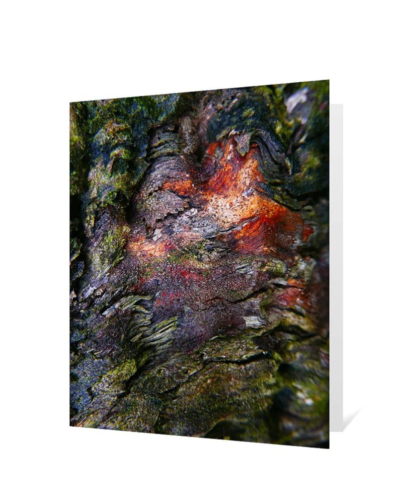 tree art greeting cards for sale