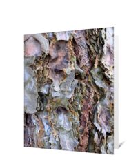 Trees Greeting Cards