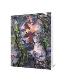 trees greeting card