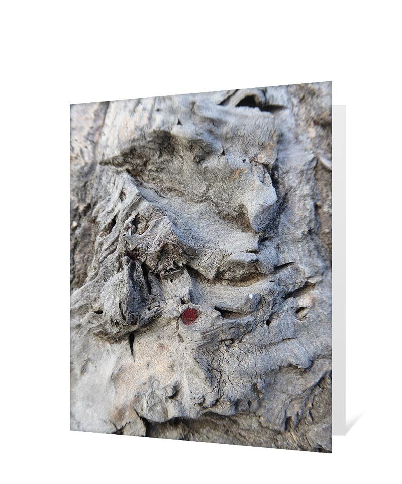 tree greeting card