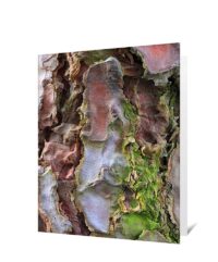 Tree Art Greeting Card