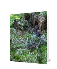 Trees Greeting Card