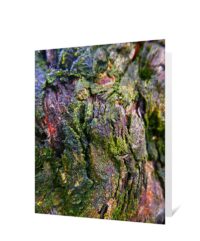 trees greeting cards