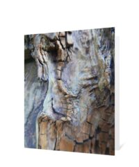 trees greeting cards