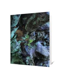Trees Greeting Cards