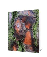 trees greeting card