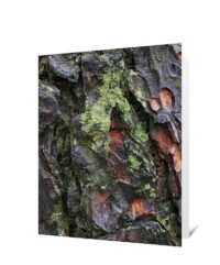 Trees Greeting Cards