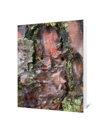 Trees Greeting Cards