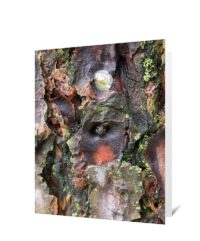 Trees Greeting Cards