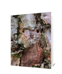 Trees Greeting Card
