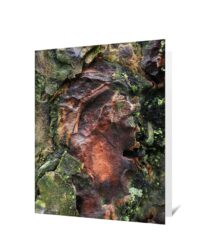 Trees Greeting Cards