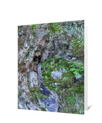 Trees Art Greeting Cards