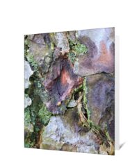 Trees Greeting Cards