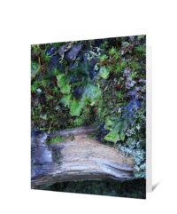 Tree Greeting Cards