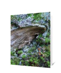 Trees Art Greeting Card