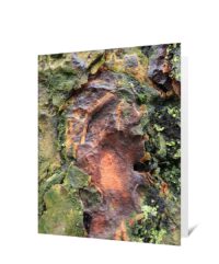 Trees Greeting Cards