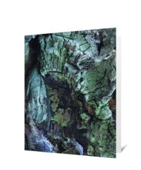 Trees Art Greeting Cards