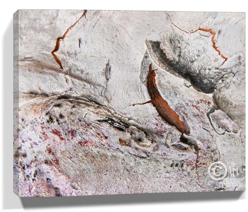 trees wall art for sale