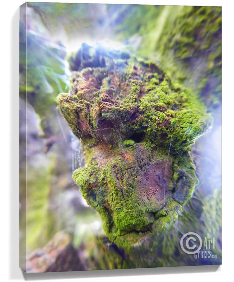 Tree Wall Artwork