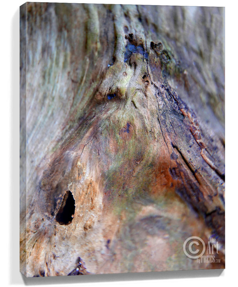 trees art wall decor