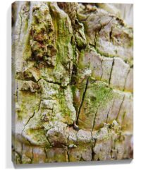tree wall art for sale