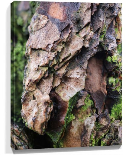 Tree wall art for sale
