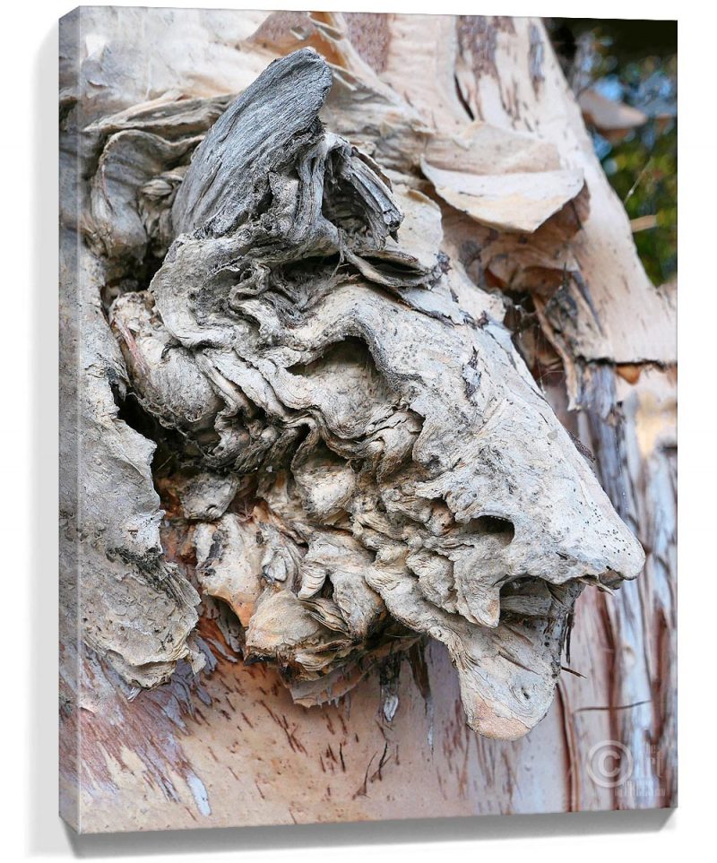 tree canvas wall art